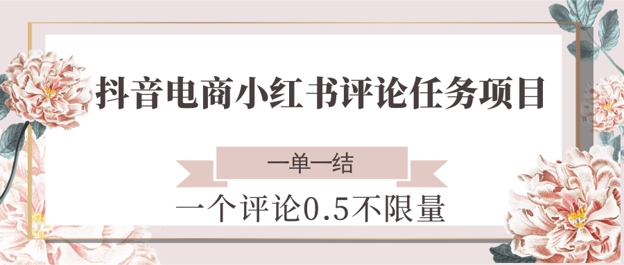 抖音电商小红书评论任务项目，一个评论0.5，一单一结 不限量-占领资源网