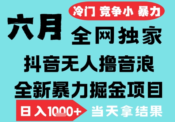 2025年6月高爆抖音无人直播最新撸音浪掘金项目，无脑日入1k+，低门槛小白可做，可矩阵放大【揭秘】-占领资源网