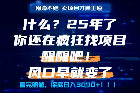 什么？25年你还在疯狂找项目做，醒醒吧，看完这些你全都懂了！【揭秘】-占领资源网
