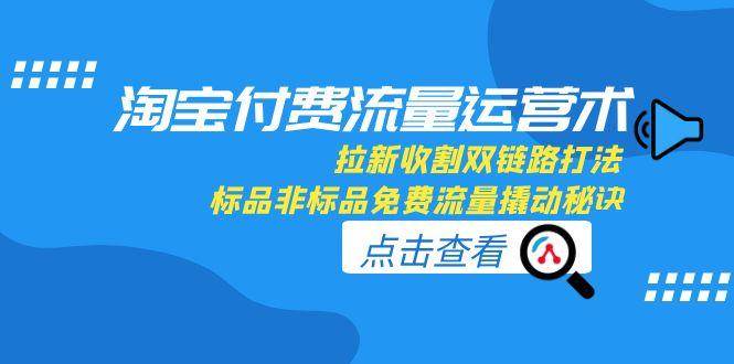 （15135期）淘宝付费流量运营术，拉新收割双链路打法，标品非标品免费流量撬动秘诀-占领资源网