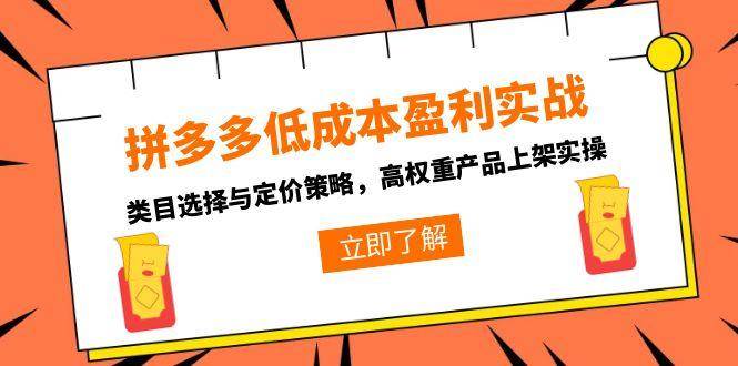 （15143期）拼多多低成本盈利实战，类目选择与定价策略，高权重产品上架实操-占领资源网