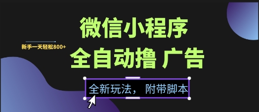 微信小程序全自动撸广告项目，彻底解决没流量的问题，新手一天8张+【揭秘】-占领资源网