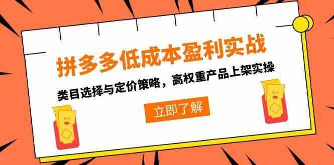 拼多多低成本盈利实战，类目选择与定价策略，高权重产品上架实操-占领资源网