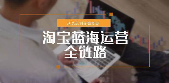 （15160期）淘宝蓝海运营全链路，从选品到流量变现，小类目突围完整方案-占领资源网