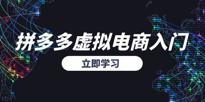 （15158期）拼多多虚拟电商入门，精准选品方法论，无货源模式起盘技巧-占领资源网