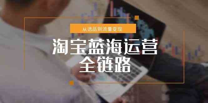 淘宝蓝海运营全链路，从选品到流量变现，小类目突围完整方案-占领资源网