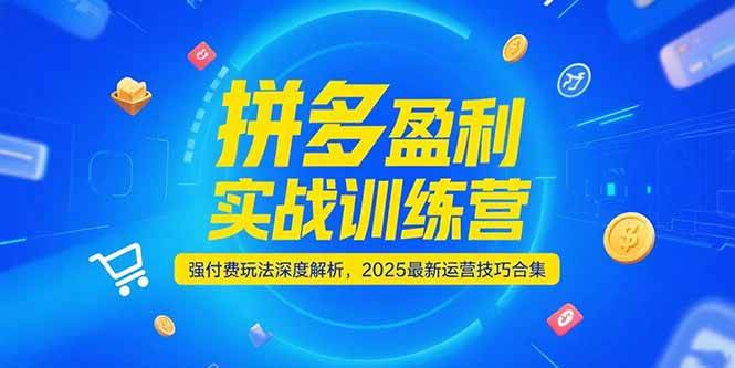 （15183期）拼多多盈利实战训练营，强付费玩法深度解析，2025最新运营技巧合集-占领资源网
