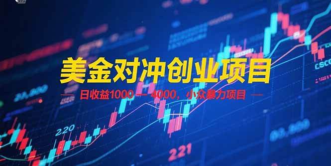 （15187期）美金对冲创业项目，日收益 1000 – 4000，小众暴力项目-占领资源网