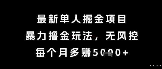 最新单人掘金项目，暴力撸金玩法，无风控，每个月多挣5k+【揭秘】-占领资源网