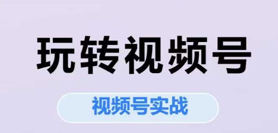 玩转视频号，视频号实战系列课-占领资源网
