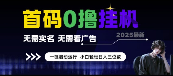 首码0撸挂G项目，无需实名无需看广告 一键启动运行，小白轻松日入三位数【揭秘】-占领资源网