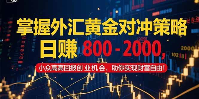 （15198期）掌握外汇黄金对冲策略，日赚 800 – 2000，小众高回报创业机会，助你实…-占领资源网