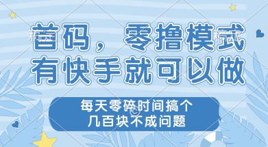首码零撸项目，有快手就可以做，每天业务时间搞个几张不是问题【揭秘】-占领资源网
