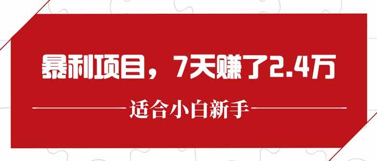 （15228期）最新暴利项目，每单收益轻松在300以上，7天赚了2.4万-占领资源网
