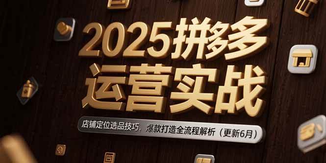 （15235期）2025拼多多运营实战：店铺定位选品技巧，爆款打造全流程解析（更新6月）-占领资源网
