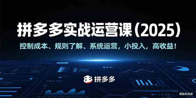 拼多多实战运营课（2025），控制成本、规则了解、系统运营，小投入，高收益！-占领资源网