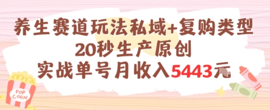 养生赛道玩法私域+复购类型，20秒生产原创实战单号月收入5k+-占领资源网