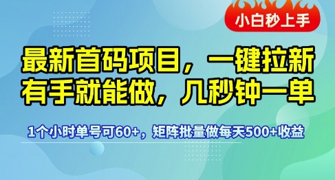 最新首码项目，一键拉新有手就能做，几秒钟一单，1个小时单号可60+，矩阵批量做每天5张【揭秘】-占领资源网