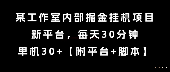 某工作室内部掘金挂G项目，新平台，每天30分钟，单机30+【揭秘】-占领资源网