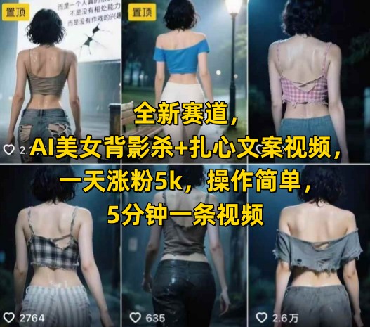 全新赛道，AI美女背影杀+扎心文案视频，一天涨粉5k，操作简单，5分钟一条视频-占领资源网