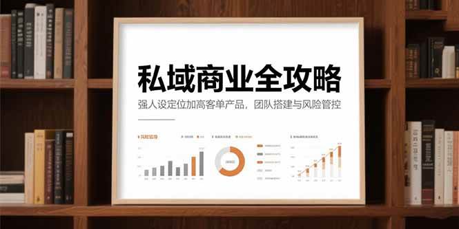 （15294期）私域商业全攻略，强人设定位加高客单产品，团队搭建与风险管控-占领资源网