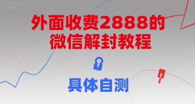 （15301期）外面收费2888的微信解封教程，具体自测-占领资源网