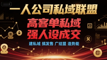 一人公司私域联盟，高客单私域，强人设成交，建私域 搞发售 广结盟 造势能-占领资源网