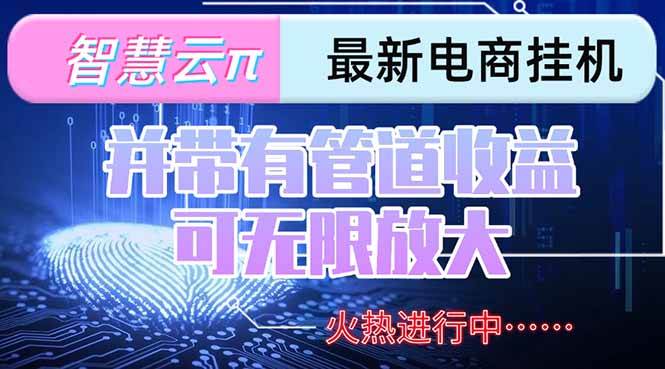 （15314期）智慧云π电脑挂机单机每天收益300—500+ 并带有团队管道收益 可无限放大-占领资源网