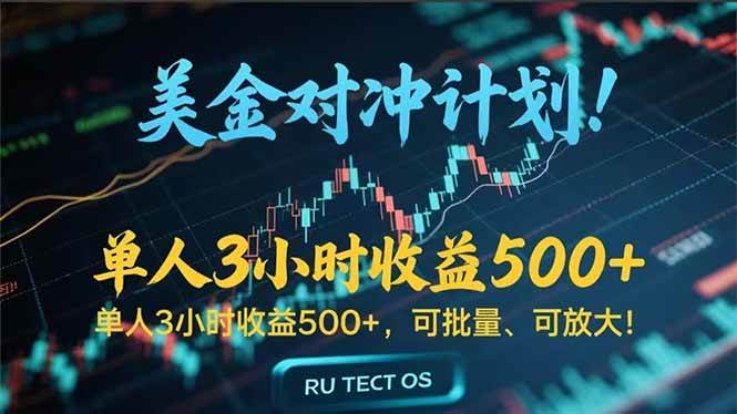 （15321期）长久稳定的撸美金项目，平均3小时收入 500+，可公司实地考察实地操作！-占领资源网