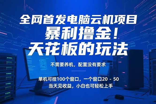 （15323期）电脑云机项目 暴力撸金玩法，不需要养机 配置没有要求 单机100个窗口一…-占领资源网