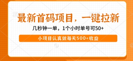最新首码项目，操作最简单，收益高，一键拉新，1个小时单号可50+，小项目认真做每天5张+收益【揭秘】-占领资源网