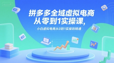 拼多多全域虚拟电商从零到1实操课，小白虚拟电商从0到1实操到精通-占领资源网
