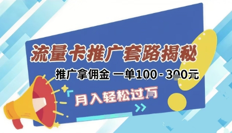 2025年外面卖1500的流量卡项目最新玩法，绿色无门槛对新手非常友好，日入3张+-占领资源网