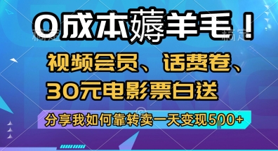 0成本薅羊毛!视频会员、话费卷、30元电影票白送，分享我如何靠转卖一天变现5张+【揭秘】-占领资源网