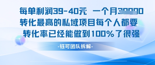 每单利润40一个月7k+转化最高的私域项目，每个人都要的产品转化率已经能做到100%-占领资源网