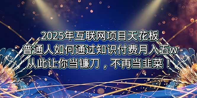 （15354期）2025年互联网项目天花板，普通人如何通过卖项目实现逆风翻盘，月入5W＋！-占领资源网