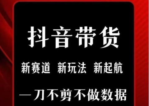 抖音短视频一刀不剪带货，不剪辑，不直播，每天发个视频，等着出单获取带货佣金-占领资源网
