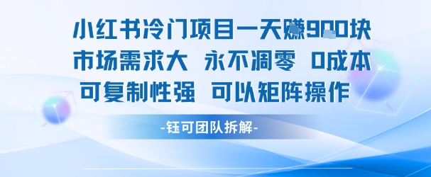 小红书冷门项目一天收益9张，市场需求大，0成本，可复制性强可以矩阵操作-占领资源网