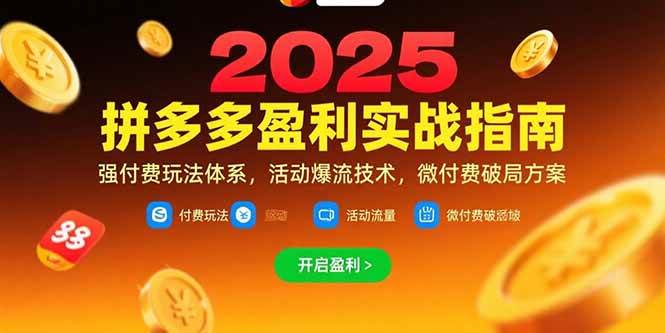 （15357期）拼多多盈利实战指南，强付费玩法，活动爆流技术，微付费破局方案(更新7月)-占领资源网