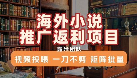 海外小说推广返利项目，视频投喂， 一刀不剪，矩阵批量-占领资源网
