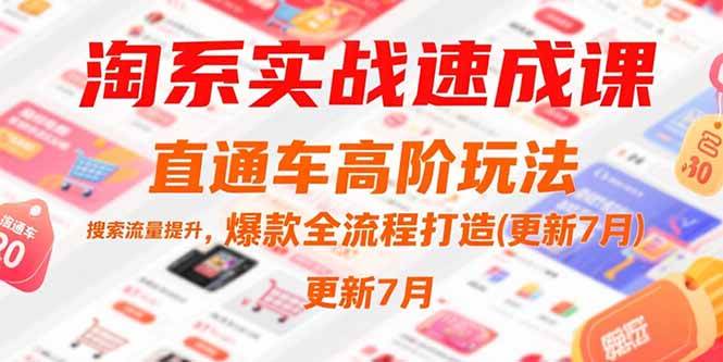 （15374期）淘系实战速成课，直通车高阶玩法，搜索流量提升，爆款全流程打造(更新7月)-占领资源网