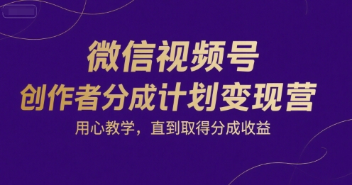 微信视频号创作者分成计划变现营，用心教学，直到取得分成收益-占领资源网