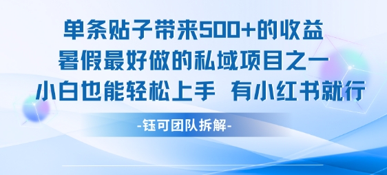 单条贴子带来5张的收益，暑假最好做的私域项目之一，小白也能轻松上手，有小红书就行-占领资源网