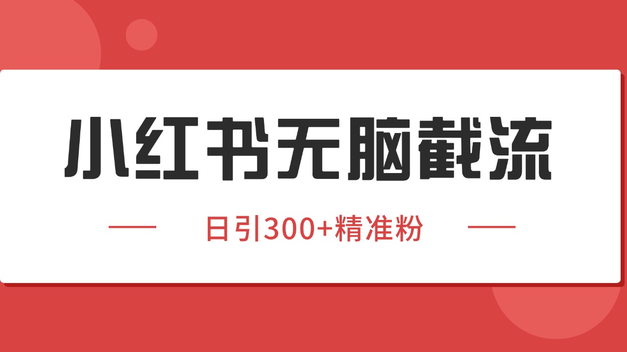 小红书截流同行客源，独家野路子获客玩法 日引200+暴力获客-占领资源网