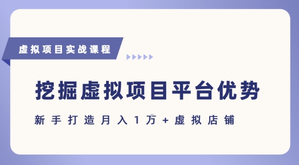 抓住虚拟项目各平台优势，新手轻松月入1W+(给出具体建议)-占领资源网