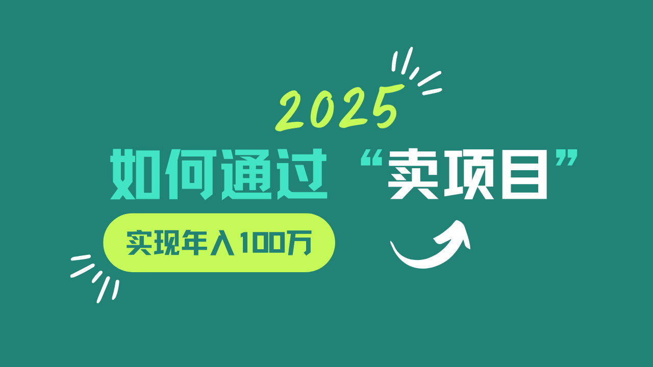 2025年如何通过“卖项目”实现年入100w-占领资源网