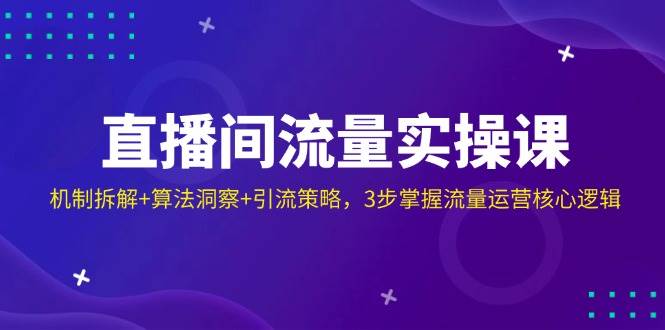 直播间流量实操课：机制拆解+算法洞察+引流策略，3步掌握流量运营核心逻辑-占领资源网
