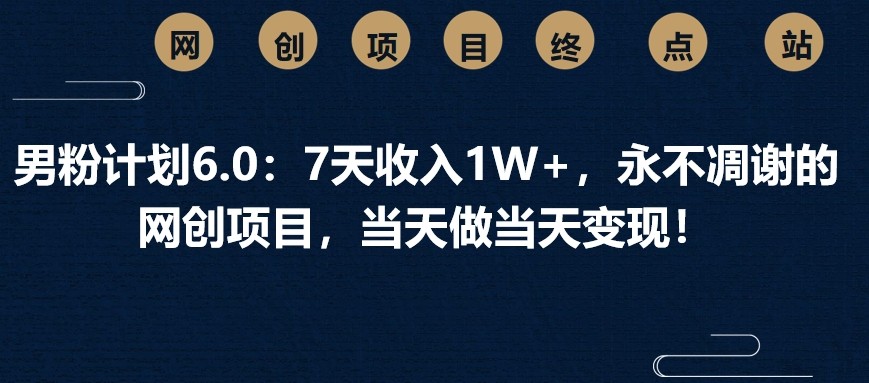 男粉计划6.0：7天收入1W+，永不凋谢的网创项目，当天做当天变现！-占领资源网