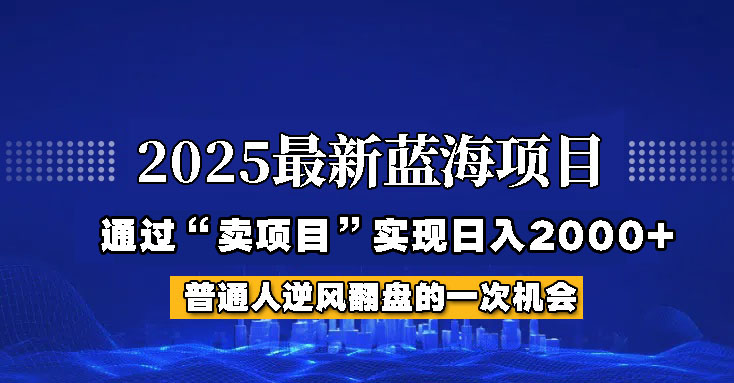 2025年蓝海项目，如何通过“网创项目”日入2000+-占领资源网