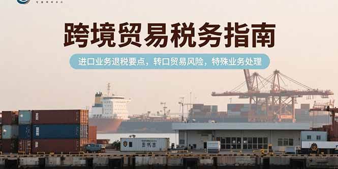 （15381期）跨境贸易税务指南，进口业务退税要点，转口贸易风险，特殊业务处理-占领资源网